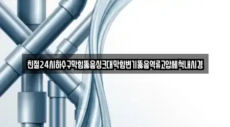 친절24시하수구막힘뚫음싱크대막힘변기뚫음역류고압세척내시경