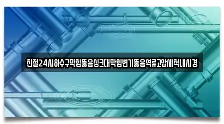 친절24시하수구막힘뚫음싱크대막힘변기뚫음역류고압세척내시경