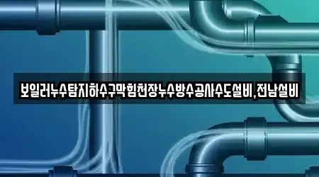 보일러누수탐지하수구막힘천장누수방수공사수도설비,전남설비