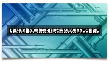 보일러누수하수구막힘씽크대막힘천정누수방수수도설비완도