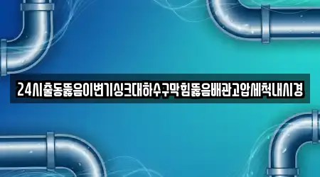 24시출동뚫음이변기싱크대하수구막힘뚫음배관고압세척내시경