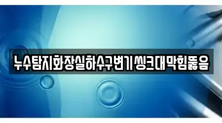 누수탐지화장실하수구변기씽크대막힘뚫음