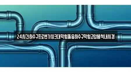 24시간하수구프로변기싱크대막힘뚫음하수구막힘고압세척내시경