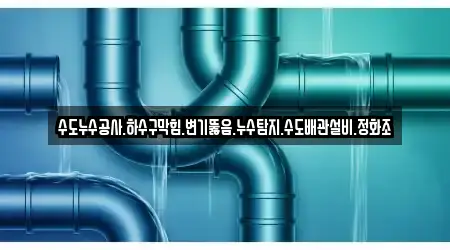11개의 하수구뚫음,변기뚫음,누수,누수탐지,싱크대막힘 업체 전북 장수군 계북면, 모아보기