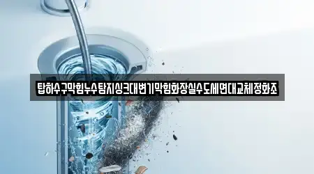 탑하수구막힘누수탐지싱크대변기막힘화장실수도세면대교체정화조