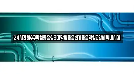24시간하수구막힘뚫음싱크대막힘뚫음변기뚫음막힘고압세척내시경