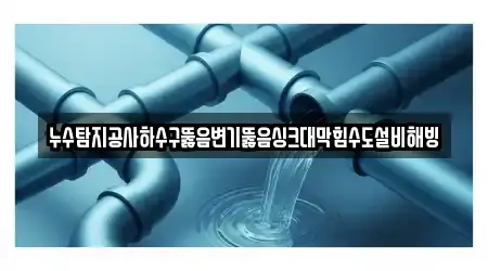 누수탐지공사하수구뚫음변기뚫음싱크대막힘수도설비해빙