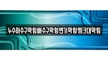 전북특별자치도 진안군 마령면 변기 막힘 4곳 알아보기