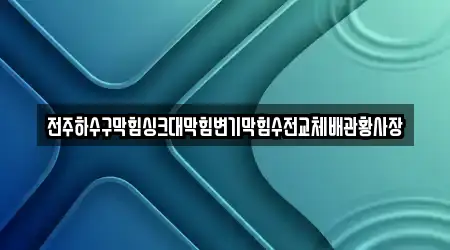 전주하수구막힘싱크대막힘변기막힘수전교체배관황사장
