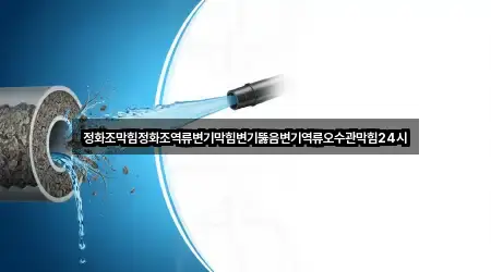 안산시 사사동 변기뚫음 시공 사례 5건