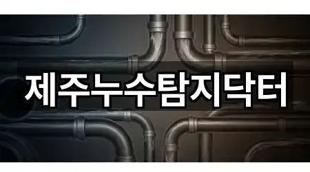 제주누수탐지닥터