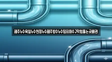 제주누수욕실누수천정누수제주방수누수탐지하수구막힘뚫는곳배관