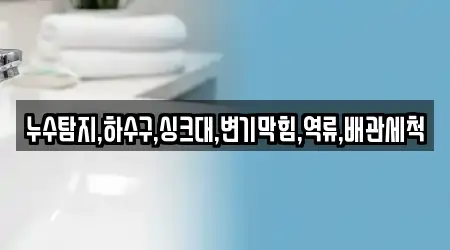 누수탐지,하수구,싱크대,변기막힘,역류,배관세척