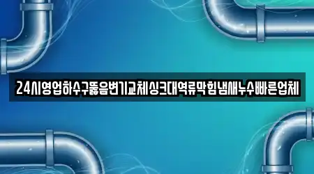 24시영업하수구뚫음변기교체싱크대역류막힘냄새누수빠른업체