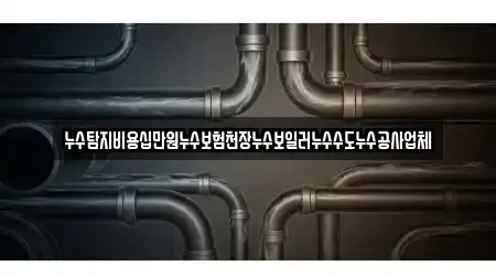 누수탐지비용십만원누수보험천장누수보일러누수수도누수공사업체
