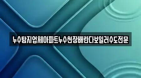 누수탐지업체아파트누수천장배란다보일러수도전문