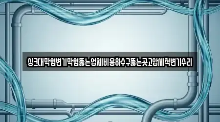 싱크대막힘변기막힘뚫는업체비용하수구뚫는곳고압세척변기수리