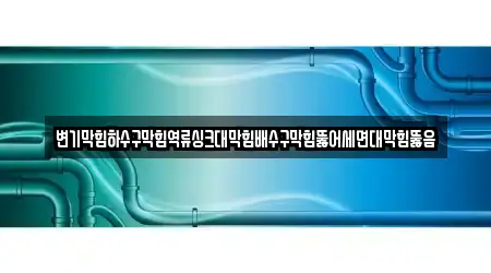 변기막힘하수구막힘역류싱크대막힘배수구막힘뚫어세면대막힘뚫음