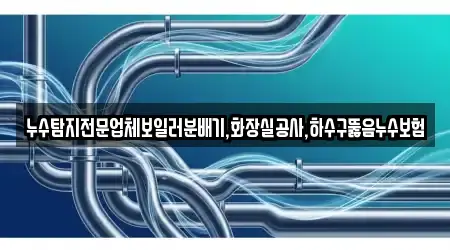 누수탐지전문업체보일러분배기,화장실공사,하수구뚫음누수보험