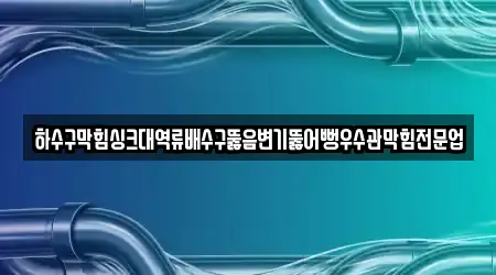 하수구막힘싱크대역류배수구뚫음변기뚫어뻥우수관막힘전문업