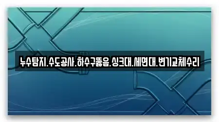누수탐지.수도공사.하수구뚫음.싱크대.세면대.변기교체수리