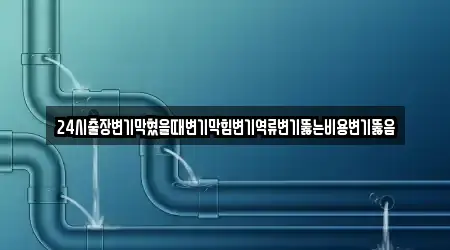 24시출장변기막혔을때변기막힘변기역류변기뚫는비용변기뚫음