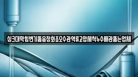 싱크대막힘변기뚫음정화조오수관역류고압세척누수배관뚫는업체
