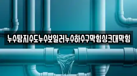 누수탐지수도누수보일러누수하수구막힘싱크대막힘