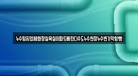 누수탐지업체화장실욕실아파트베란다수도누수천장누수변기막힘뻥