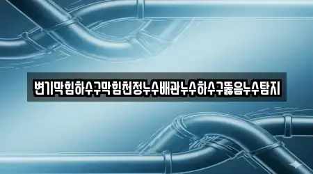 변기막힘하수구막힘천정누수배관누수하수구뚫음누수탐지