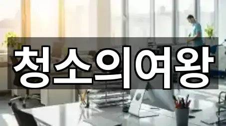 성동구 금호동2가 청소업체 5곳 지도 체크