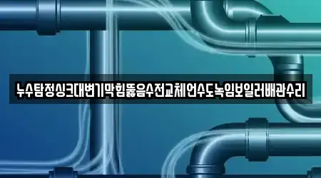 누수탐정싱크대변기막힘뚫음수전교체언수도녹임보일러배관수리