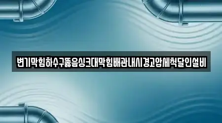 변기막힘하수구뚫음싱크대막힘배관내시경고압세척달인설비