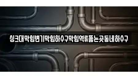 싱크대막힘변기막힘하수구막힘역류뚫는곳동네하수구