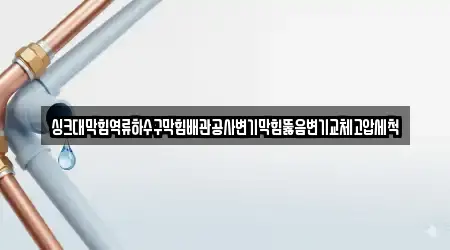 싱크대막힘역류하수구막힘배관공사변기막힘뚫음변기교체고압세척