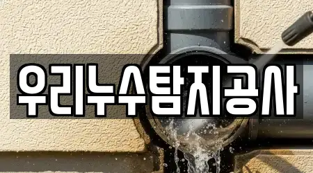 우리누수탐지공사