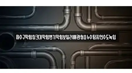 하수구막힘싱크대막힘변기막힘보일러배관청소누수탐지언수도녹임