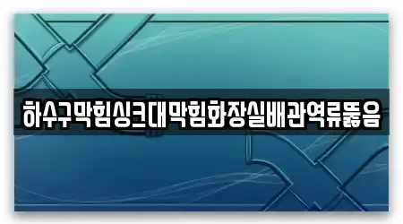 하수구막힘싱크대막힘화장실배관역류뚫음