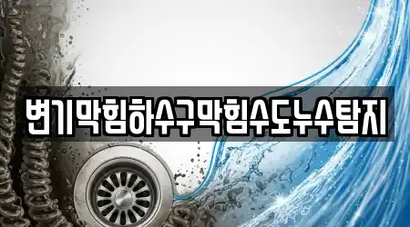 변기막힘하수구막힘수도누수탐지