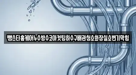 배관 청소 2건 충청북도 옥천군 옥천읍 업체 정보