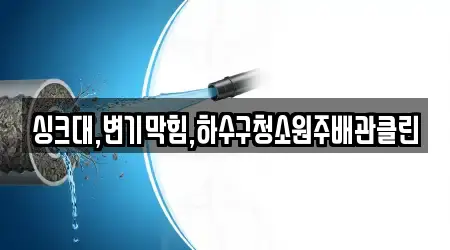 충청북도 제천시 대랑동 배관막힘 전문 5 주소