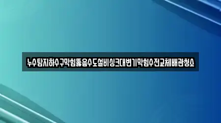 누수탐지하수구막힘뚫음수도설비싱크대변기막힘수전교체배관청소