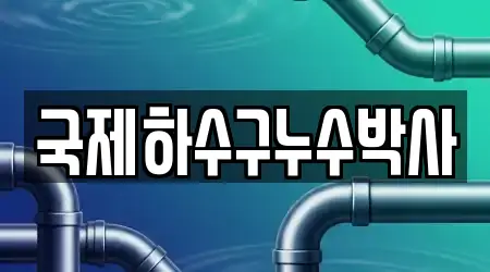 국제하수구누수박사