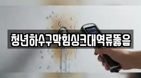 청년하수구막힘싱크대역류뚫음