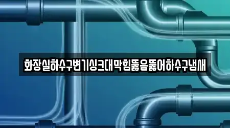 화장실하수구변기싱크대막힘뚫음뚫어하수구냄새