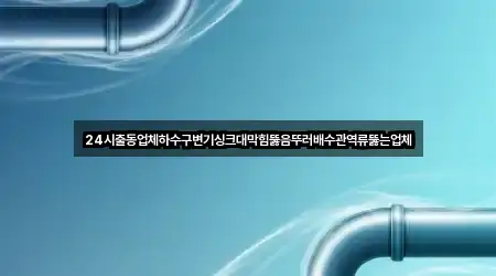 24시출동업체하수구변기싱크대막힘뚫음뚜러배수관역류뚫는업체