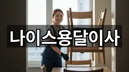 나이스용달이사