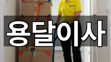 경기도 시흥 은행동 용달이사 5곳 지번 주소