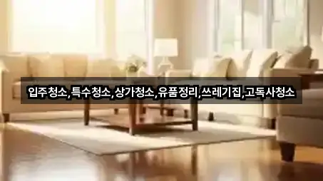 입주청소,특수청소,상가청소,유품정리,쓰레기집,고독사청소