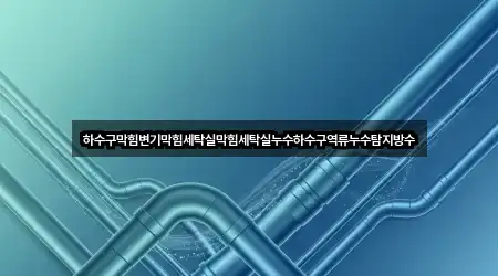 하수구막힘변기막힘세탁실막힘세탁실누수하수구역류누수탐지방수